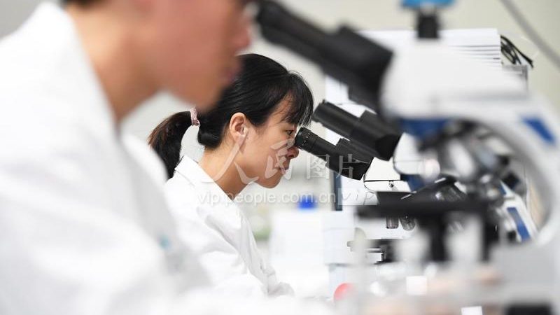 上海生物制品厂家直销，如何把握价格与质量平衡点？**