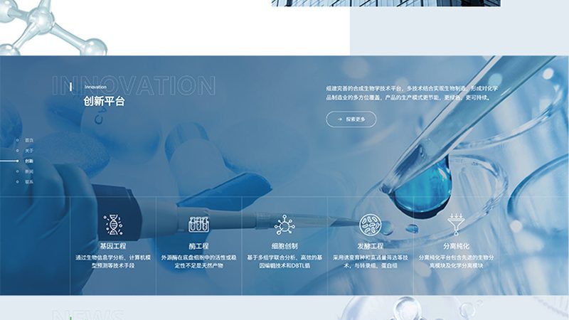 引物合成：测序流程的关键一环，揭秘其奥秘与注意事项