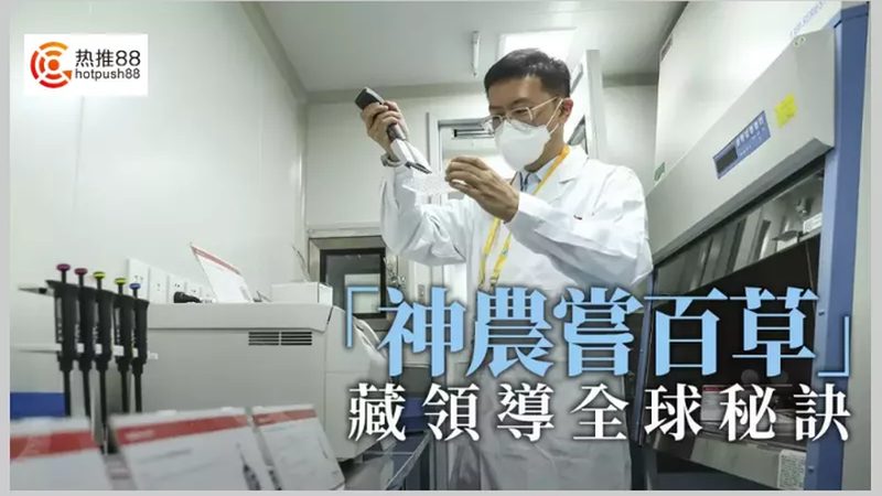 国产无血清细胞培养基：揭秘其质量背后的秘密**