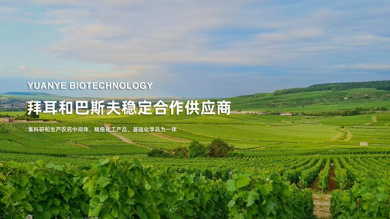 遗传病基因检测：样本类型选择的四大关键**