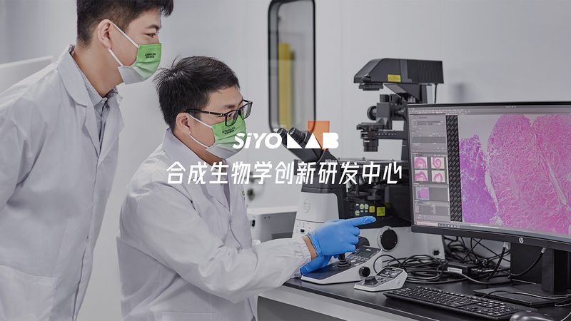 第三方诊断试剂代工工厂：揭秘其背后的工艺与选择要点**