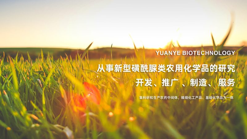 化学实验室耗材选购：如何规避误区，保障实验质量**