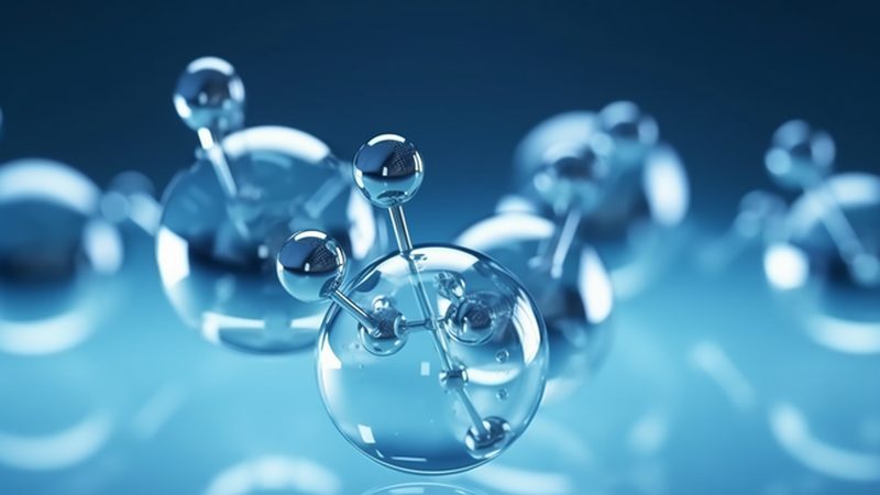 酶与酵素，有何区别？揭秘十大品牌排名背后的奥秘**