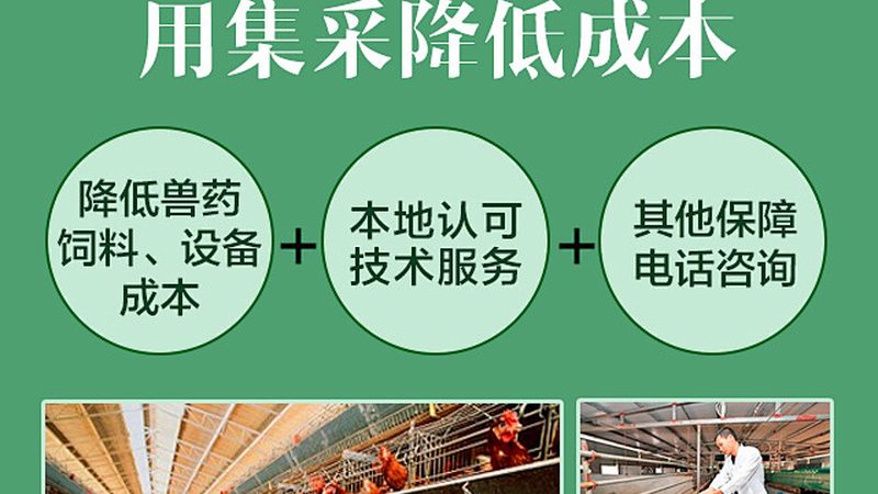 PCR检测试剂套装：揭秘其批发报价背后的秘密