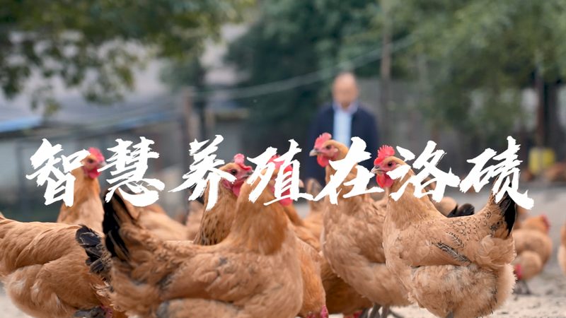 生物科技公司资质标准：合规之路的基石