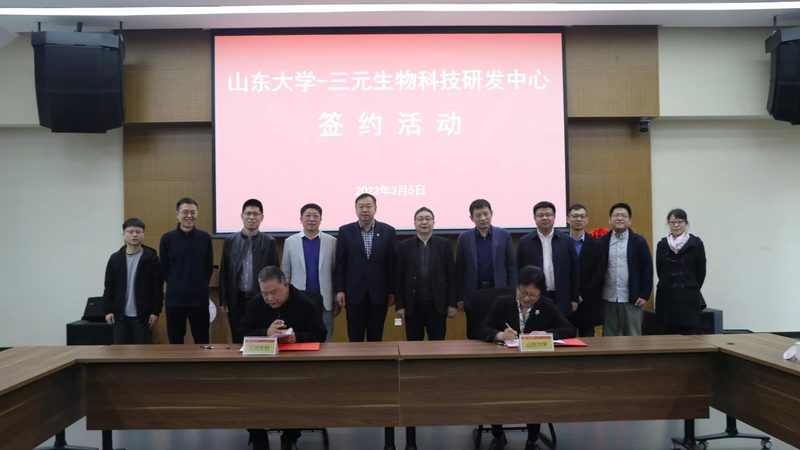 小标题：CRO优化服务价格的影响因素