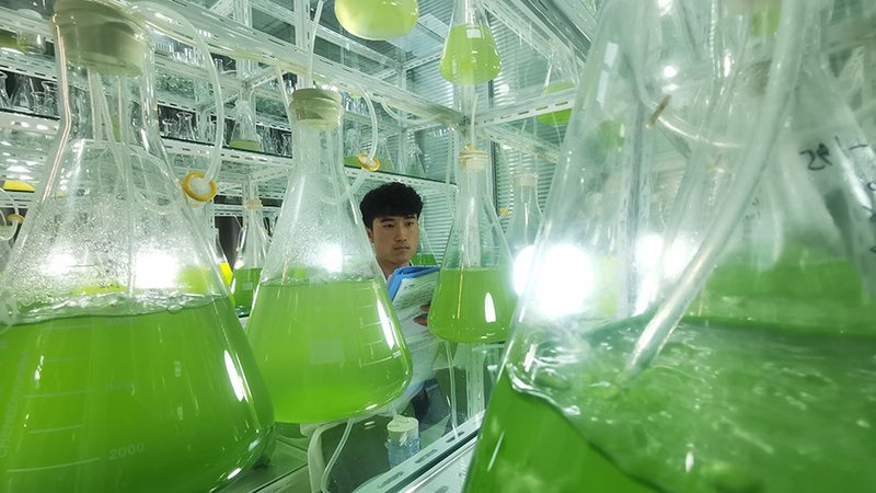 北京生物试剂应用场景分类解析